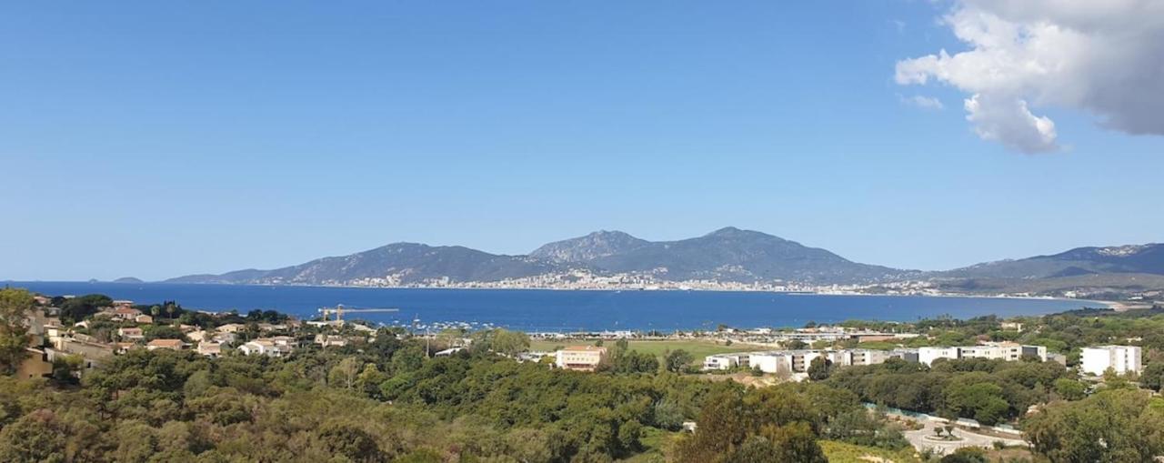 Studio Vue Mer A Porticcio Piscine Et Parking Dış mekan fotoğraf